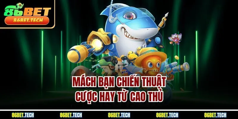 Mách bạn chiến thuật cược hay từ cao thủ 