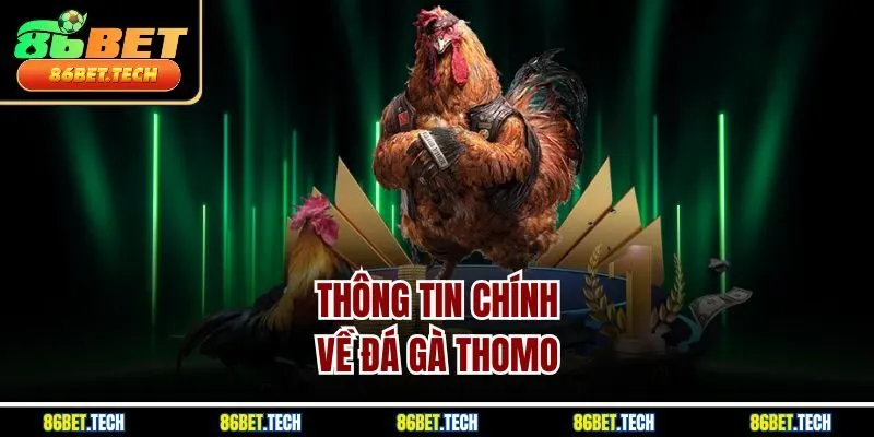 Thông tin chính về đá gà Thomo 